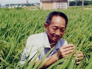 文章附圖